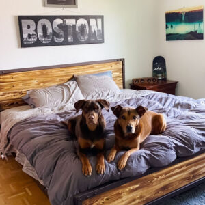 Metal Platform Bed Frames by Volcano Handmade Iron Bedrooms 1