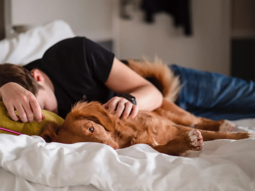 Letto in metallo che non cigola: la scelta ideale per un sonno silenzioso e stabile